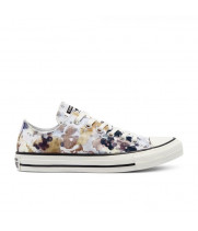 Кеды Converse Chuck Taylor Summer низкие мульти